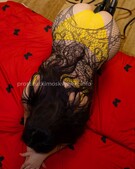 Анкета проститутки Ника - метро Выхино-Жулебино, возраст - 28